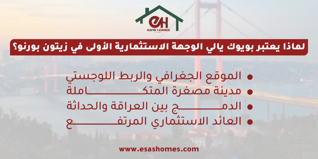 لماذا يعتبر بويوك يالي الوجهة الاستثمارية الأولى في زيتون بورنو؟ 